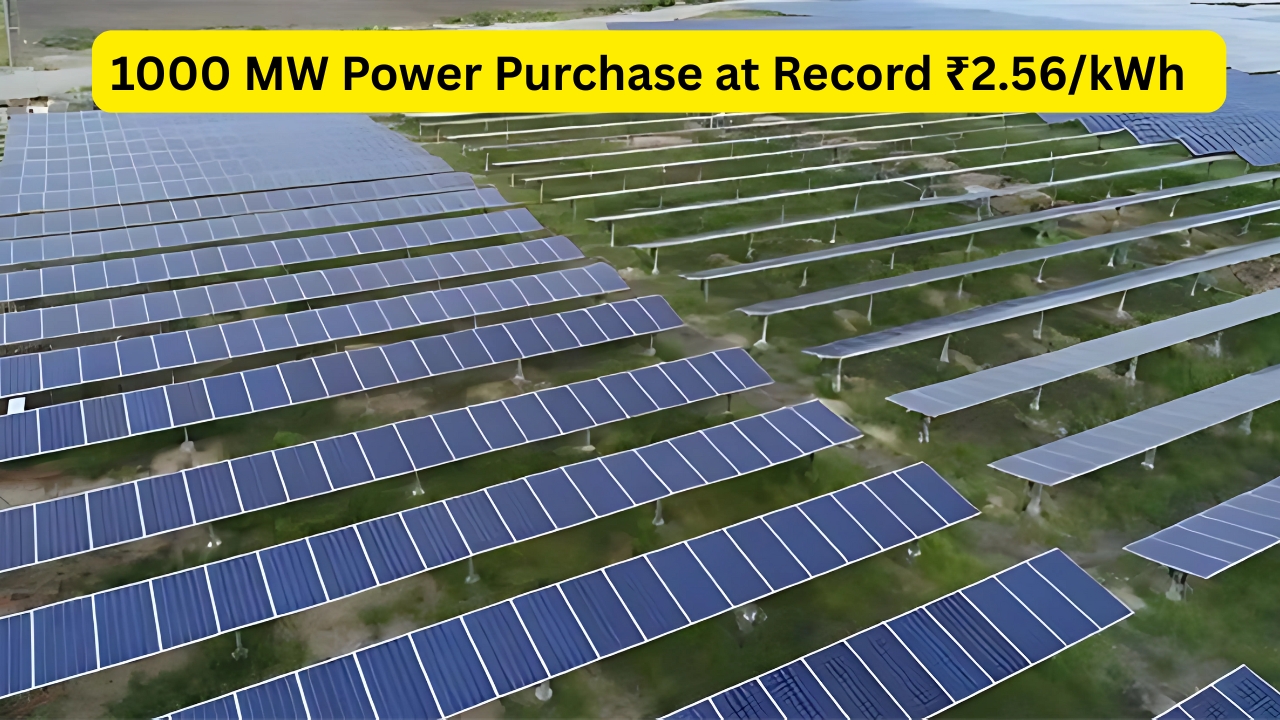 India’s Solar Future