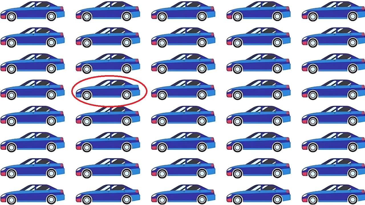 Identify the Odd Car