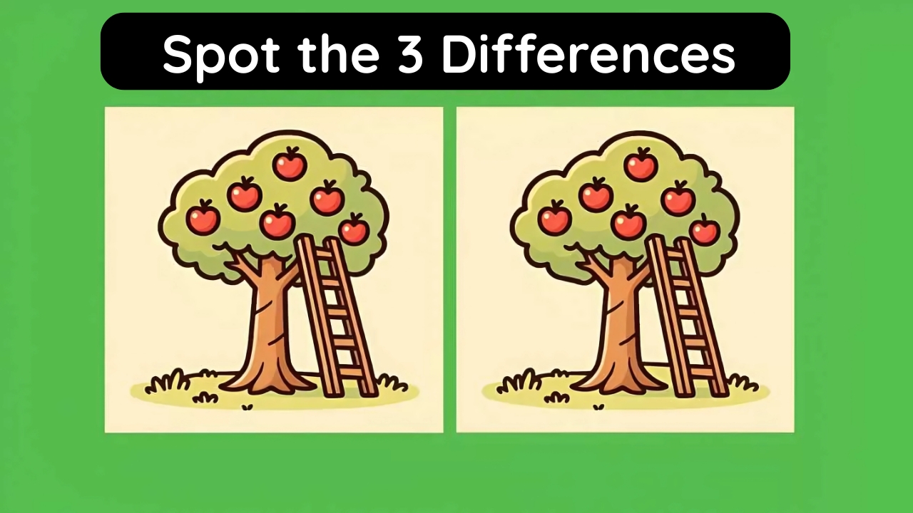 Apple Optical Illusion