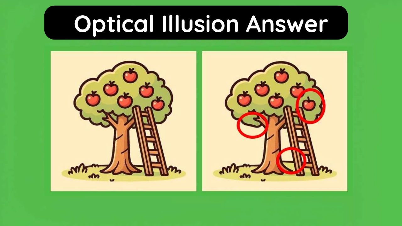 Apple Optical Illusion