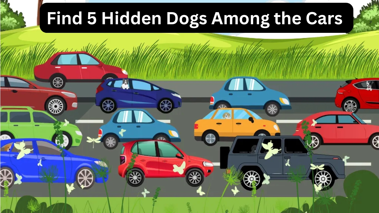 Hidden Dogs