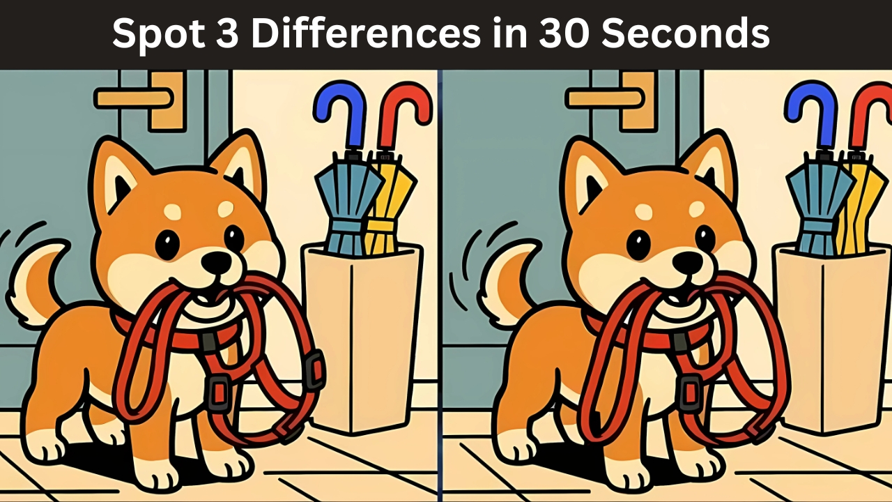 Optical Illusion Challenges
