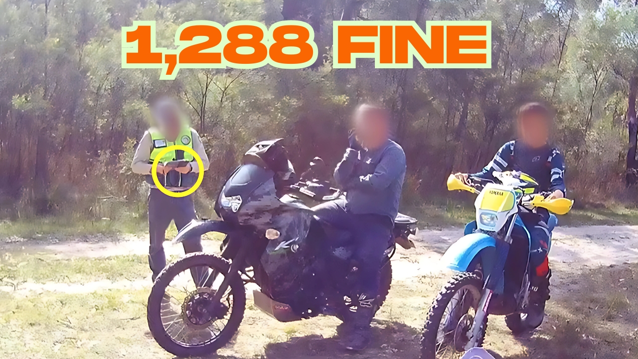 Illegal Forest Activity
