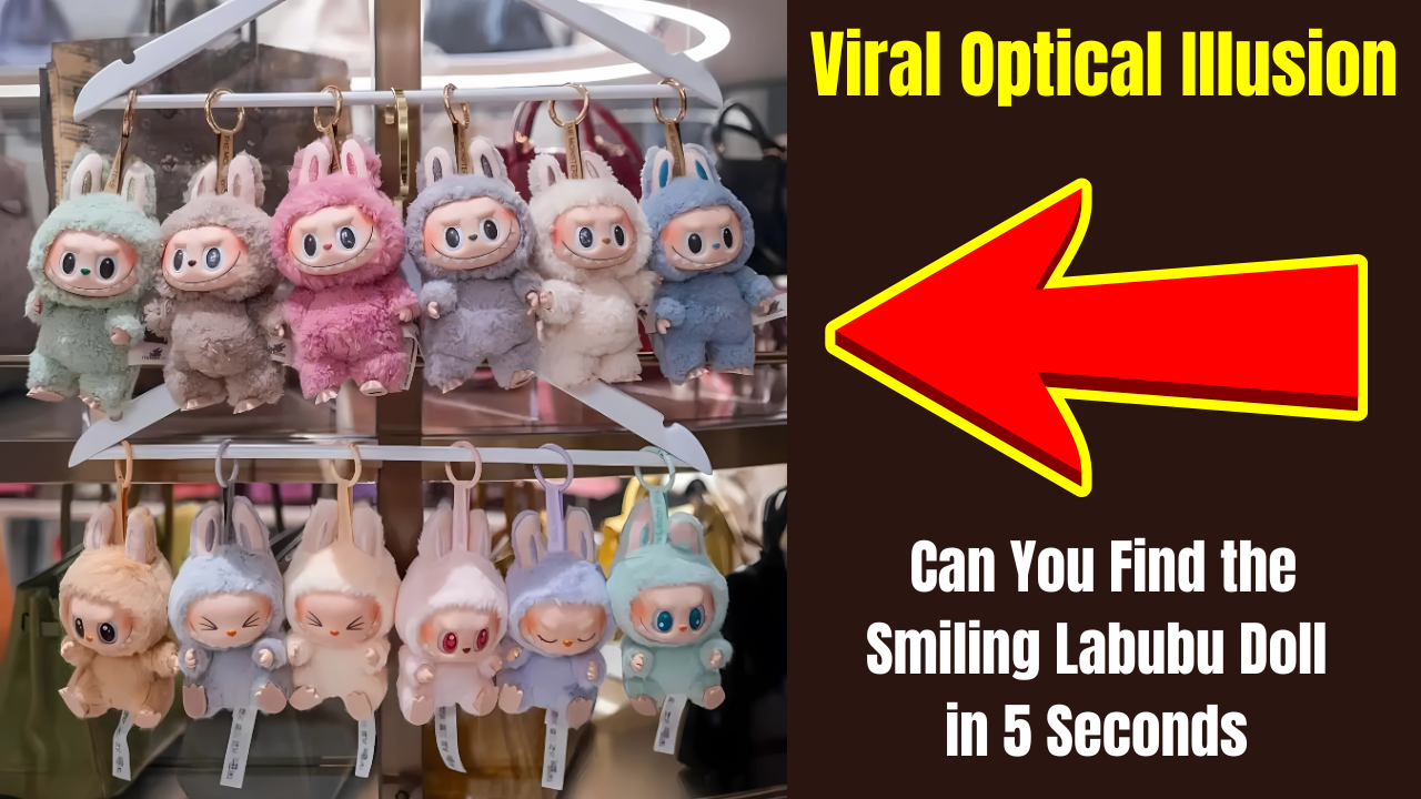 Labubu Dol Optical Illusion