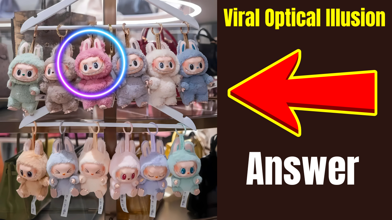  Labubu Doll  Optical Illusion