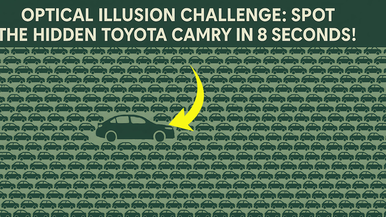 Optical Illusion Hidden Toyota Camry